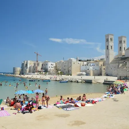 L'ulivo Puglia